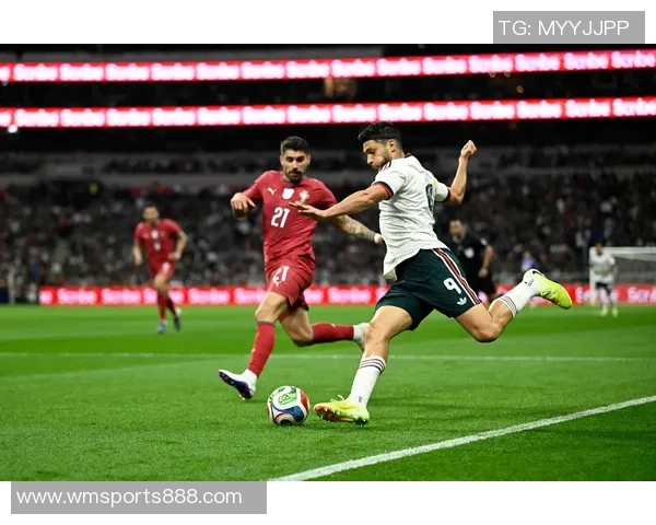 墨西哥足球赛期间突发袭击事件造成11人遇难引发广泛关注